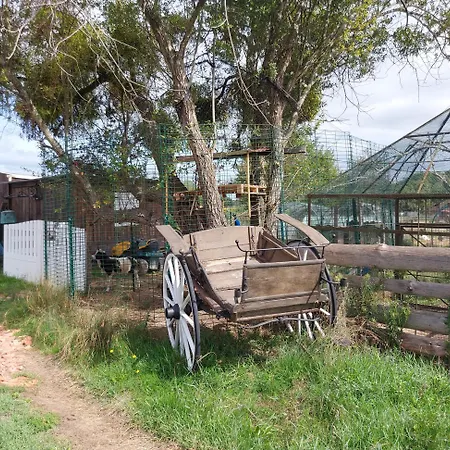 Au Refuge De Lahontan * Castelnau-dʼAuzan