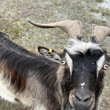 Séjour à la campagne Au Refuge De Lahontan