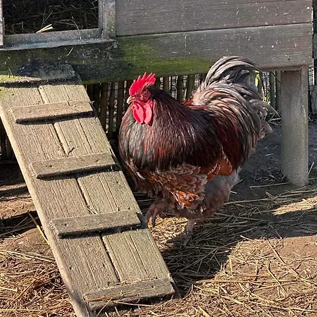 Au Refuge De Lahontan Séjour à la campagne *