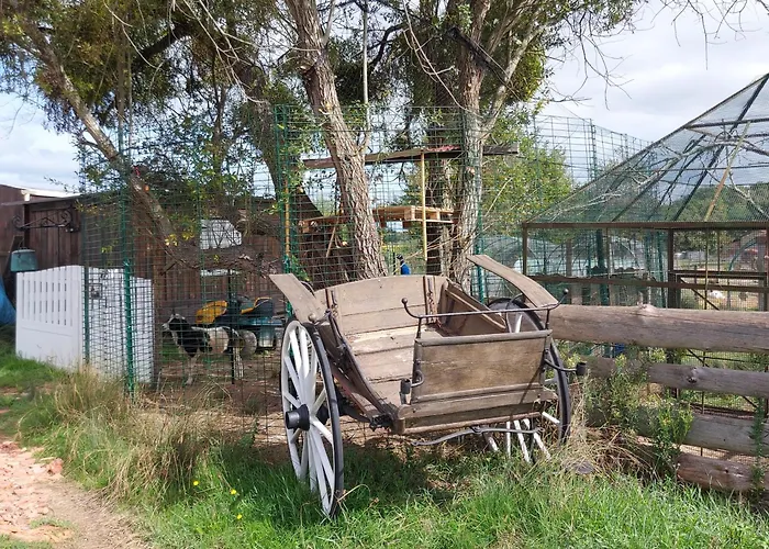 Au Refuge De Lahontan * Castelnau-dʼAuzan
