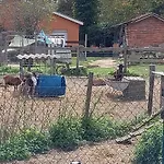 Au Refuge De Lahontan Castelnau-d'Auzan