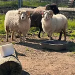 Au Refuge De Lahontan