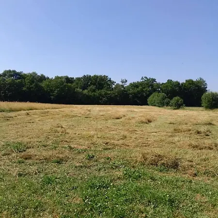 Au Refuge De Lahontan Castelnau-dʼAuzan