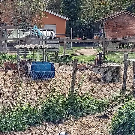 Au Refuge De Lahontan Castelnau-dʼAuzan