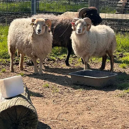 Au Refuge De Lahontan