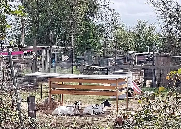 Au Refuge De Lahontan * Castelnau-dʼAuzan